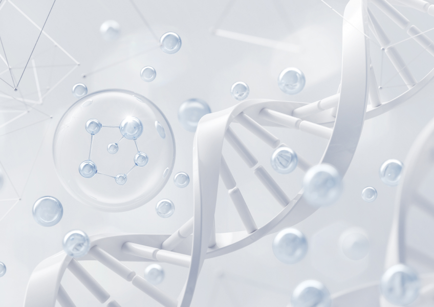 Causes of Obesity1 Causes of Obesity